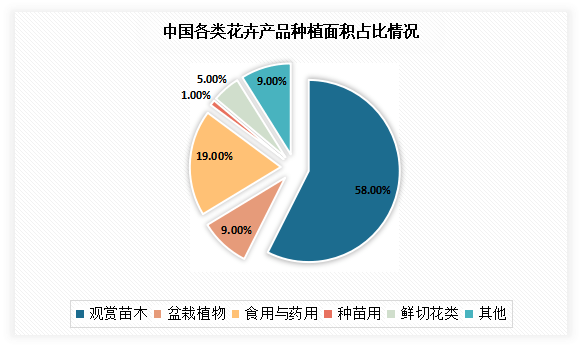 中國盆栽市場(chǎng)競(jìng)爭(zhēng)態(tài)勢(shì)研究與投資戰(zhàn)略調(diào)研報(bào)告（2022-2023）