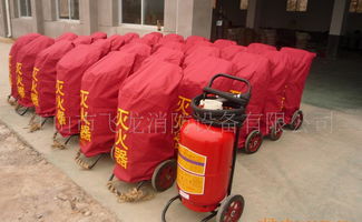 創(chuàng)新防護(hù)裝備 專(zhuān)利推車(chē)式滅火器防護(hù)罩的功能與應(yīng)用